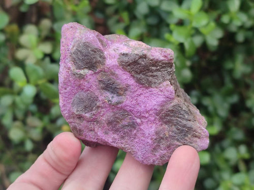 Natural Cobbed Stichtite Specimens x 10 From Barberton, South Africa - Toprock Gemstones and Minerals 