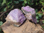 Natural Cobbed Stichtite Specimens x 10 From Barberton, South Africa - Toprock Gemstones and Minerals 