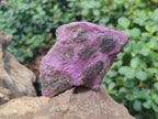 Natural Cobbed Stichtite Specimens x 10 From Barberton, South Africa - Toprock Gemstones and Minerals 