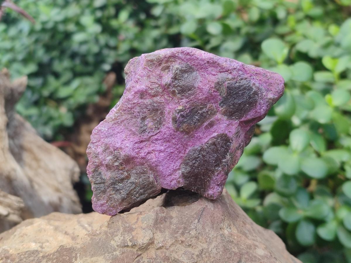 Natural Cobbed Stichtite Specimens x 10 From Barberton, South Africa - Toprock Gemstones and Minerals 