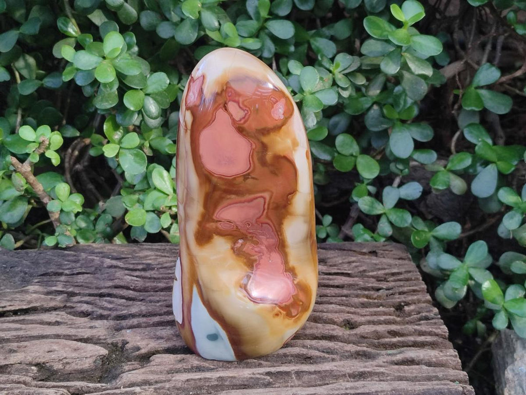 Polished Large Polychrome Jasper Standing Display Piece x 1 From NW Coast, Madagascar - Toprock Gemstones and Minerals 