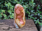 Polished Large Polychrome Jasper Standing Display Piece x 1 From NW Coast, Madagascar - Toprock Gemstones and Minerals 