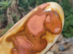 Polished Large Polychrome Jasper Standing Display Piece x 1 From NW Coast, Madagascar - Toprock Gemstones and Minerals 