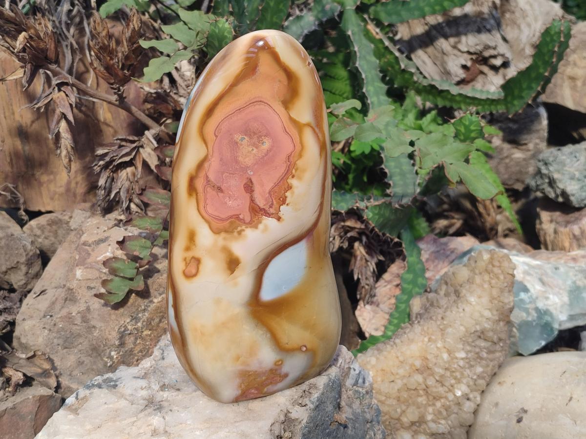 Polished Large Polychrome Jasper Standing Display Piece x 1 From NW Coast, Madagascar - Toprock Gemstones and Minerals 