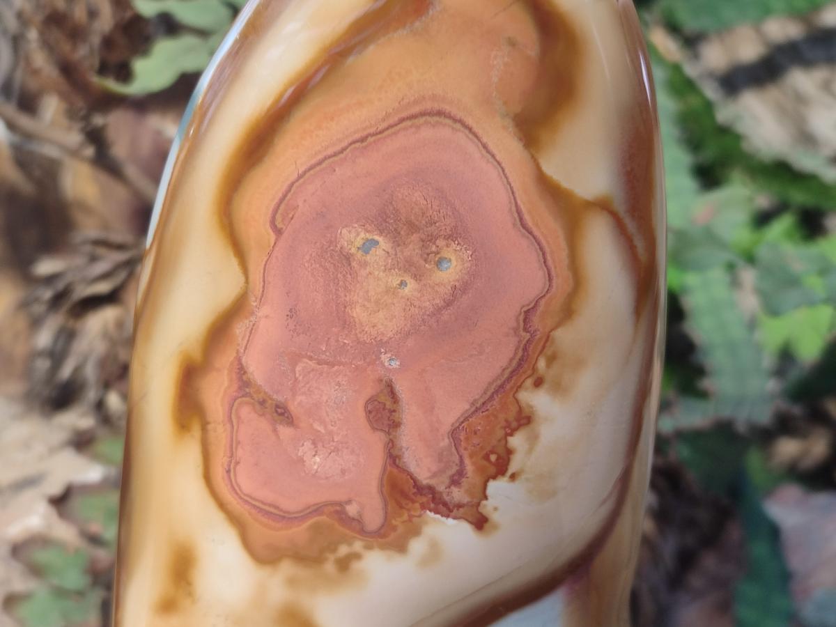 Polished Large Polychrome Jasper Standing Display Piece x 1 From NW Coast, Madagascar - Toprock Gemstones and Minerals 