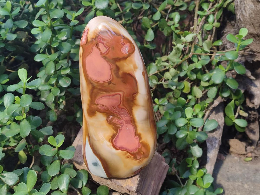 Polished Large Polychrome Jasper Standing Display Piece x 1 From NW Coast, Madagascar - Toprock Gemstones and Minerals 