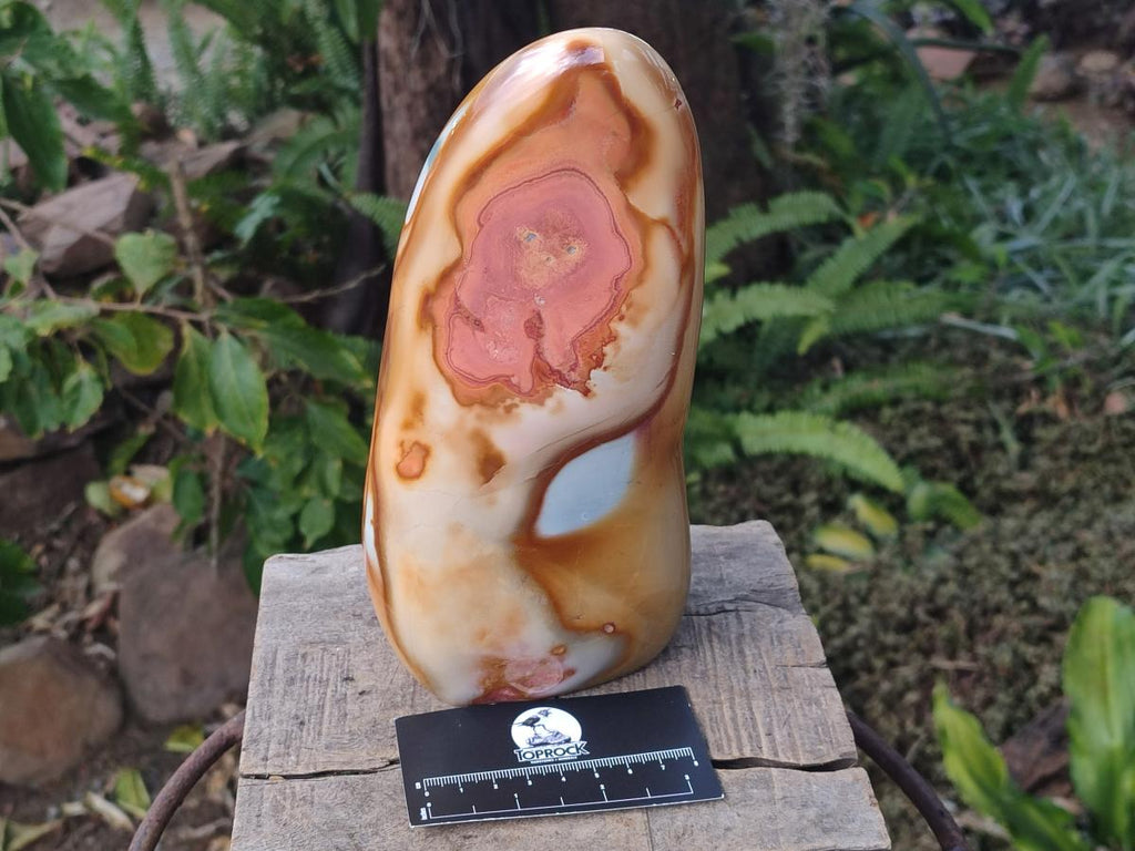 Polished Large Polychrome Jasper Standing Display Piece x 1 From NW Coast, Madagascar - Toprock Gemstones and Minerals 