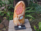 Polished Large Polychrome Jasper Standing Display Piece x 1 From NW Coast, Madagascar - Toprock Gemstones and Minerals 