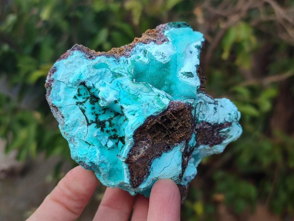 Natural Drusy Coated Chrysocolla Specimens x 3 From Lupoto Mine, Congo - Toprock Gemstones and Minerals 