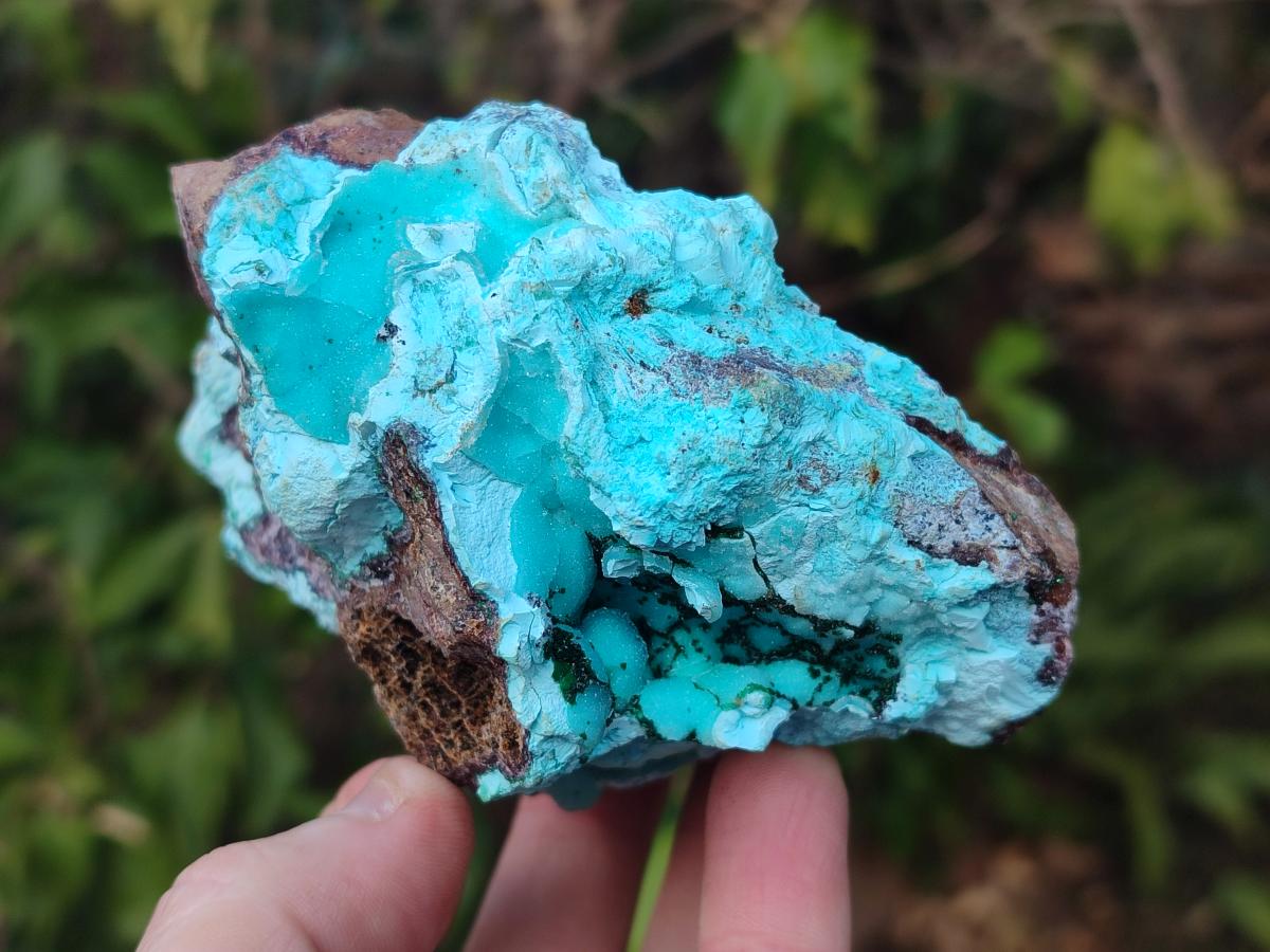 Natural Drusy Coated Chrysocolla Specimens x 3 From Lupoto Mine, Congo - Toprock Gemstones and Minerals 