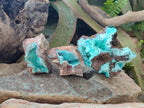 Natural Drusy Coated Chrysocolla Specimens x 3 From Lupoto Mine, Congo - Toprock Gemstones and Minerals 