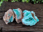 Natural Drusy Coated Chrysocolla Specimens x 3 From Lupoto Mine, Congo - Toprock Gemstones and Minerals 