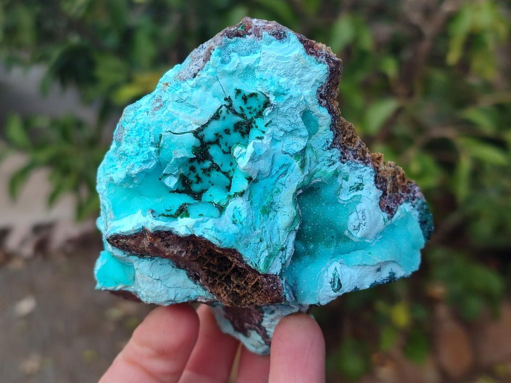 Natural Drusy Coated Chrysocolla Specimens x 3 From Lupoto Mine, Congo - Toprock Gemstones and Minerals 