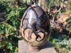 Polished XL Septerye Sauvage "Dragons Egg" Geode x 1 From Mahajanga, Madagascar - Toprock Gemstones and Minerals 