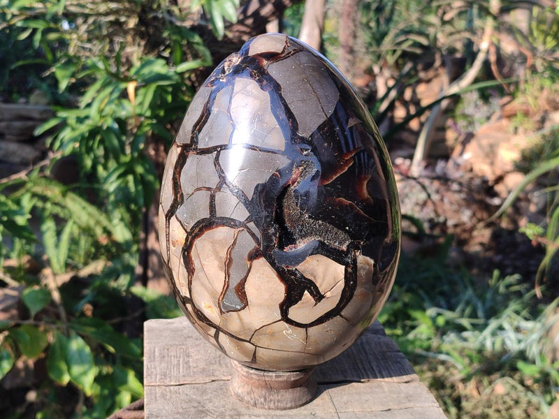 Polished XL Septerye Sauvage "Dragons Egg" Geode x 1 From Mahajanga, Madagascar - Toprock Gemstones and Minerals 