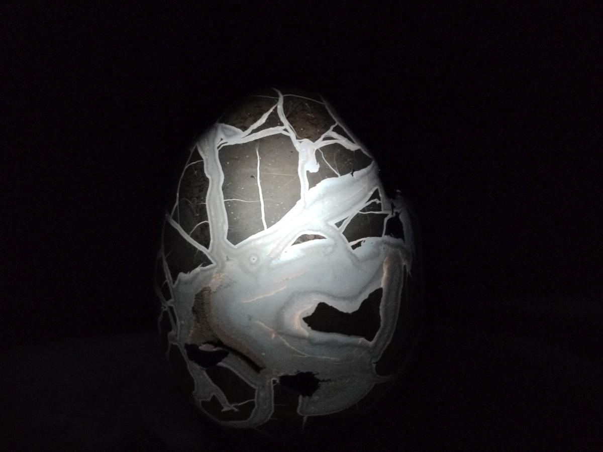 Polished XL Septerye Sauvage "Dragons Egg" Geode x 1 From Mahajanga, Madagascar - Toprock Gemstones and Minerals 