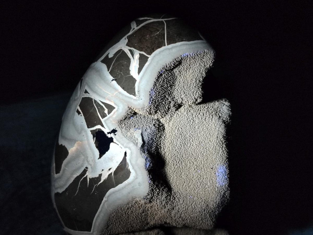 Polished XL Septerye Sauvage "Dragons Egg" Geode x 1 From Mahajanga, Madagascar - Toprock Gemstones and Minerals 
