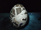 Polished XL Septerye Sauvage "Dragons Egg" Geode x 1 From Mahajanga, Madagascar - Toprock Gemstones and Minerals 