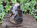 Polished XL Septerye Sauvage "Dragons Egg" Geode x 1 From Mahajanga, Madagascar - Toprock Gemstones and Minerals 