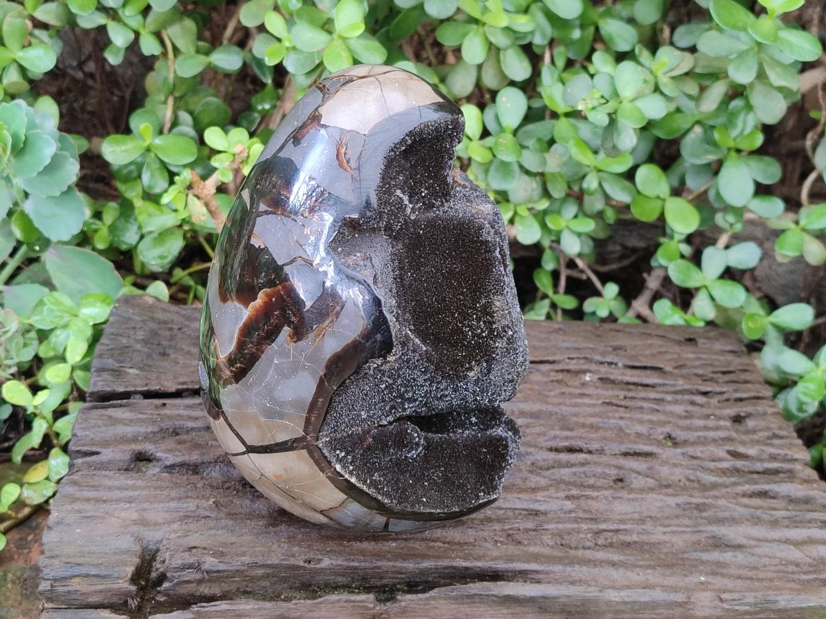 Polished XL Septerye Sauvage "Dragons Egg" Geode x 1 From Mahajanga, Madagascar - Toprock Gemstones and Minerals 