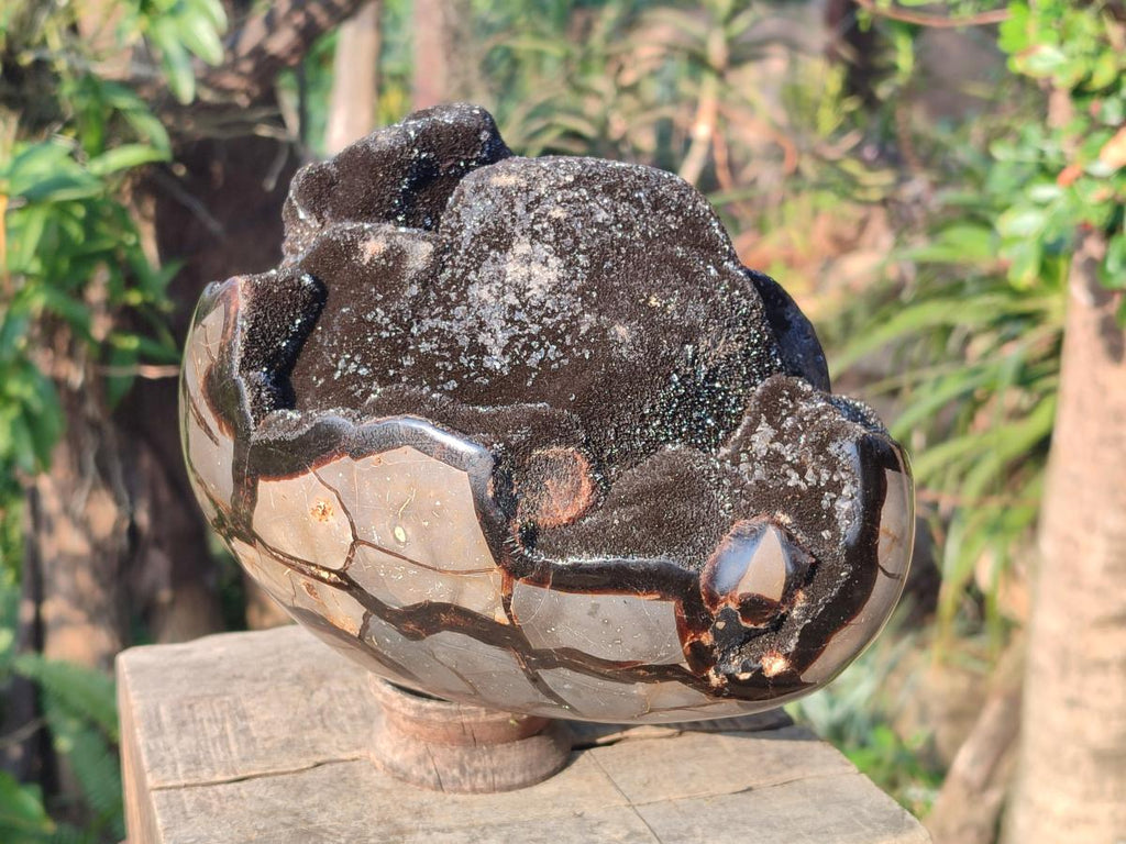 Polished XL Septerye Sauvage "Dragons Egg" Geode x 1 From Mahajanga, Madagascar - Toprock Gemstones and Minerals 