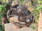 Polished XL Septerye Sauvage "Dragons Egg" Geode x 1 From Mahajanga, Madagascar - Toprock Gemstones and Minerals 
