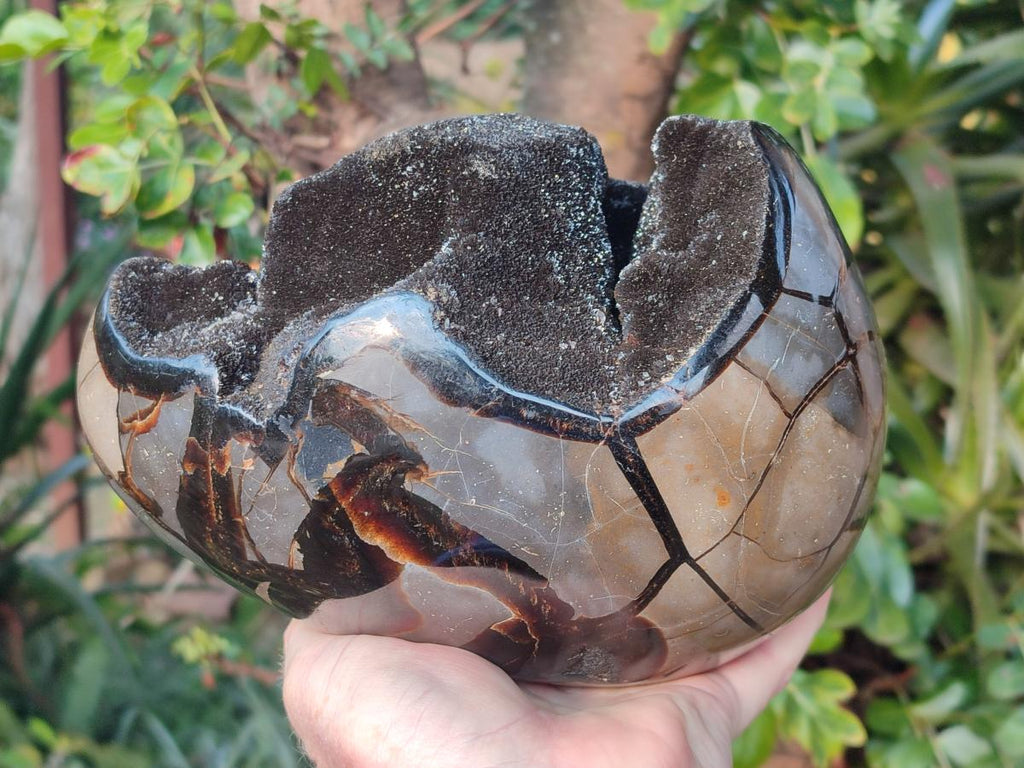 Polished XL Septerye Sauvage "Dragons Egg" Geode x 1 From Mahajanga, Madagascar - Toprock Gemstones and Minerals 