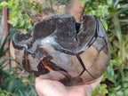Polished XL Septerye Sauvage "Dragons Egg" Geode x 1 From Mahajanga, Madagascar - Toprock Gemstones and Minerals 