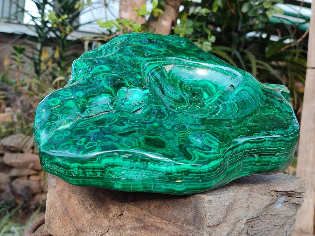 Polished XL Flower Banded Malachite Ashtray x 1 From Congo - Toprock Gemstones and Minerals 