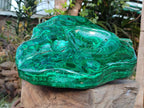 Polished XL Flower Banded Malachite Ashtray x 1 From Congo - Toprock Gemstones and Minerals 