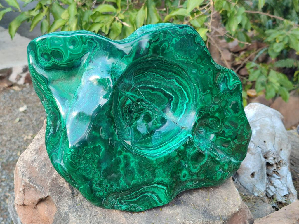 Polished XL Flower Banded Malachite Ashtray x 1 From Congo - Toprock Gemstones and Minerals 