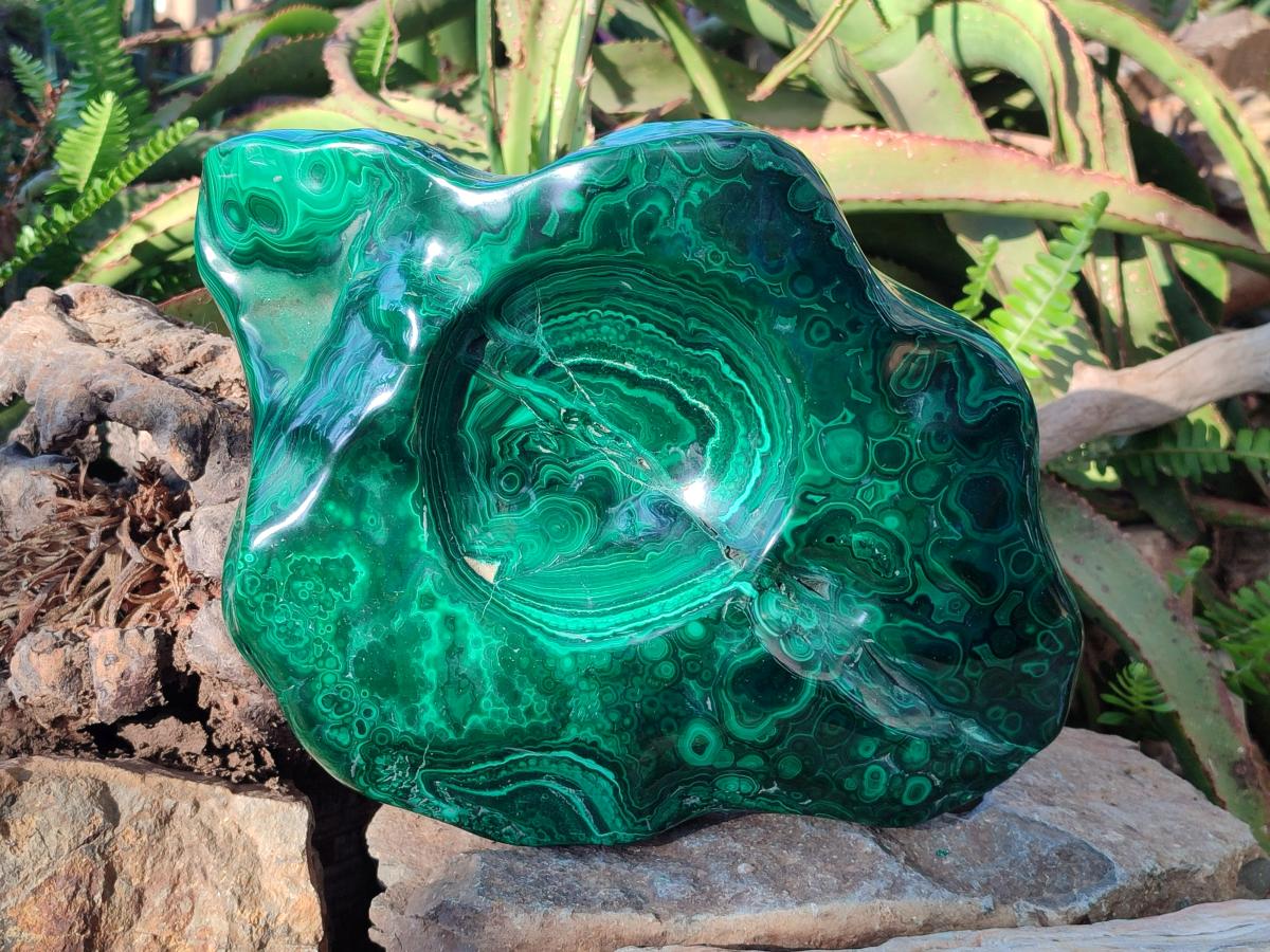 Polished XL Flower Banded Malachite Ashtray x 1 From Congo - Toprock Gemstones and Minerals 