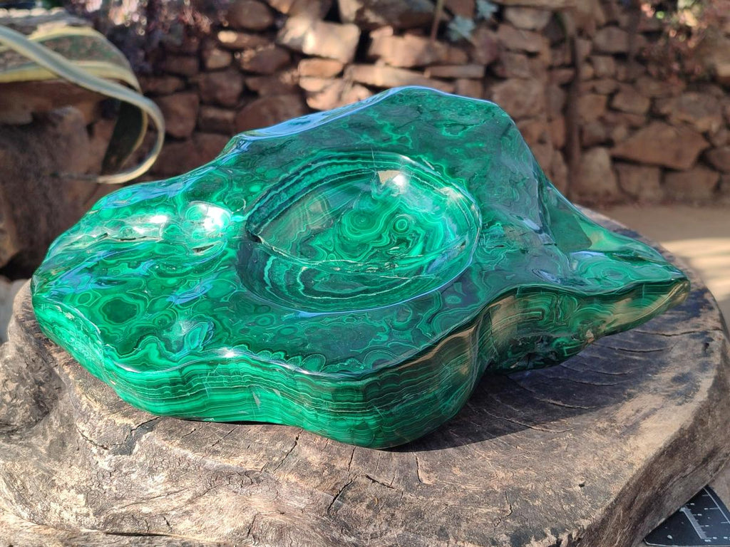 Polished XL Flower Banded Malachite Ashtray x 1 From Congo - Toprock Gemstones and Minerals 