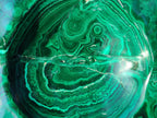 Polished XL Flower Banded Malachite Ashtray x 1 From Congo - Toprock Gemstones and Minerals 