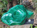 Polished XL Flower Banded Malachite Ashtray x 1 From Congo - Toprock Gemstones and Minerals 