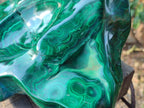 Polished XL Flower Banded Malachite Ashtray x 1 From Congo - Toprock Gemstones and Minerals 