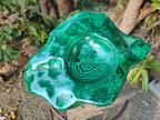 Polished XL Flower Banded Malachite Ashtray x 1 From Congo - Toprock Gemstones and Minerals 