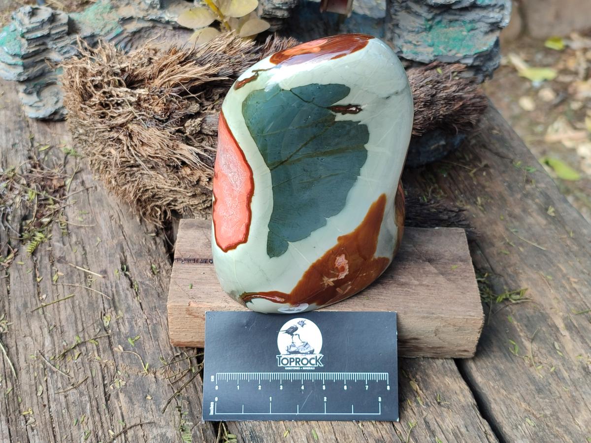 Polished Polychrome Jasper Standing Display Pieces x 2 From NW Coast, Madagascar - Toprock Gemstones and Minerals 