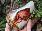 Polished Polychrome Jasper Standing Display Pieces x 2 From NW Coast, Madagascar - Toprock Gemstones and Minerals 