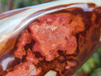 Polished Polychrome Jasper Standing Display Pieces x 2 From NW Coast, Madagascar - Toprock Gemstones and Minerals 