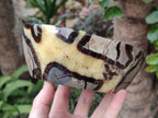 Polished Large Septerye Bowl x 1 From Mahajanga, Madagascar - Toprock Gemstones and Minerals 