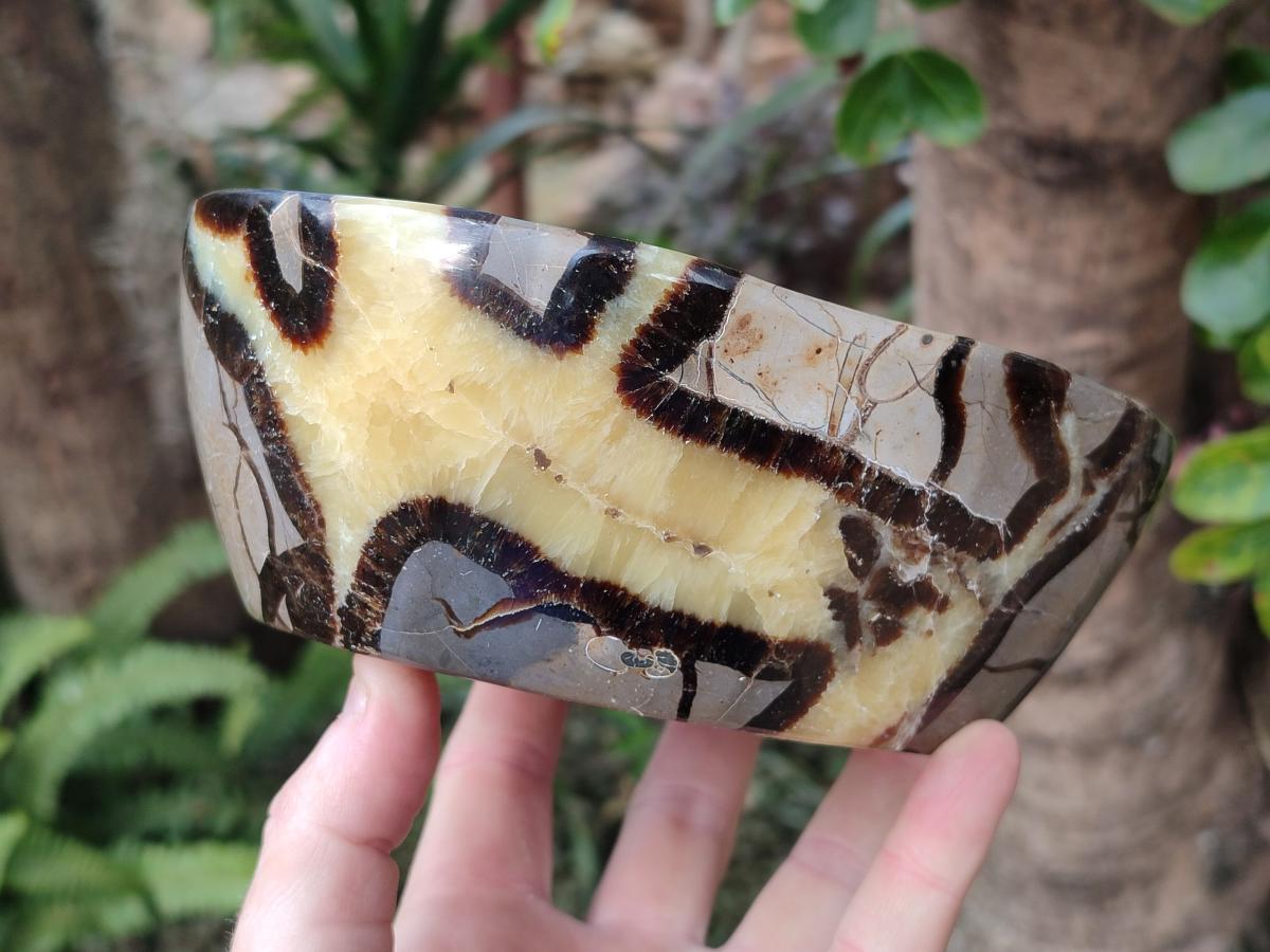 Polished Large Septerye Bowl x 1 From Mahajanga, Madagascar - Toprock Gemstones and Minerals 