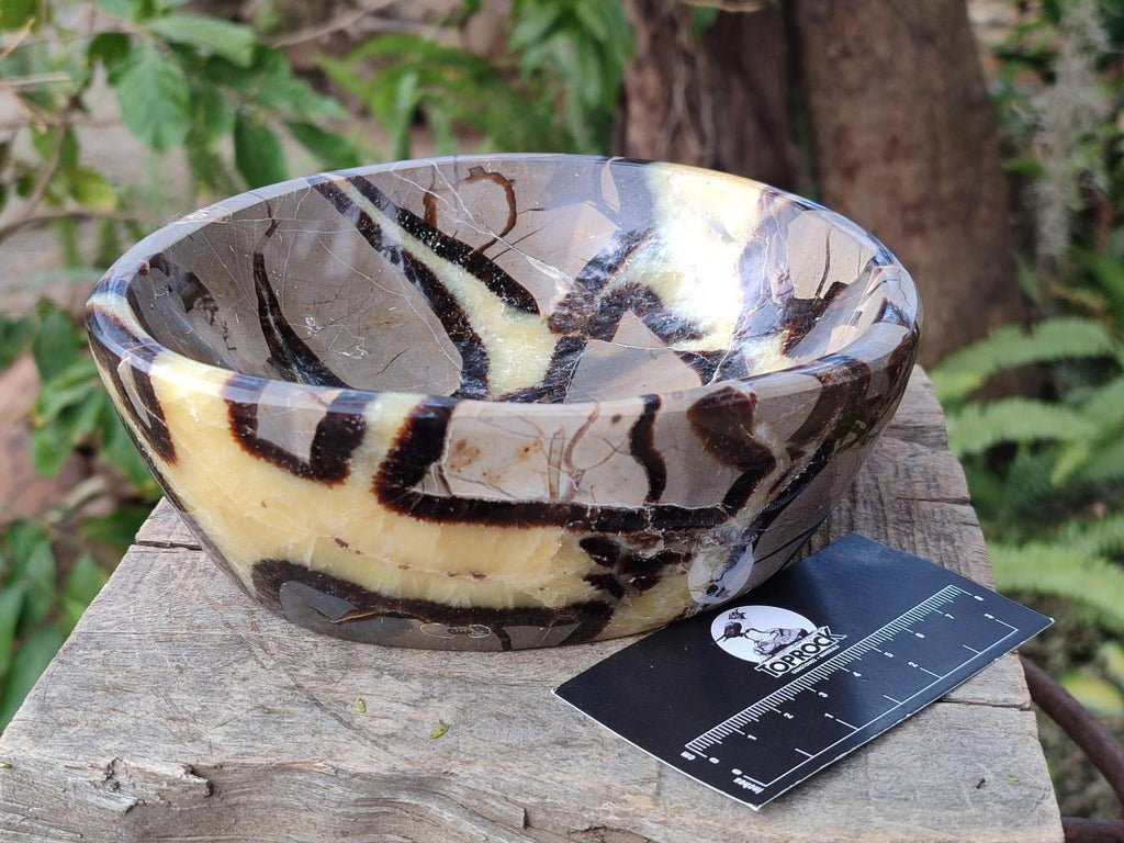 Polished Large Septerye Bowl x 1 From Mahajanga, Madagascar - Toprock Gemstones and Minerals 
