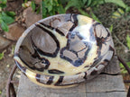 Polished Large Septerye Bowl x 1 From Mahajanga, Madagascar - Toprock Gemstones and Minerals 