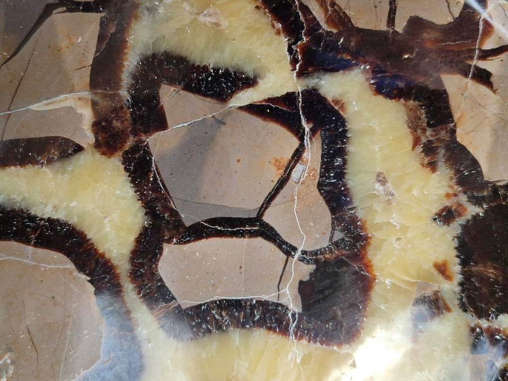 Polished Large Septerye Bowl x 1 From Mahajanga, Madagascar - Toprock Gemstones and Minerals 