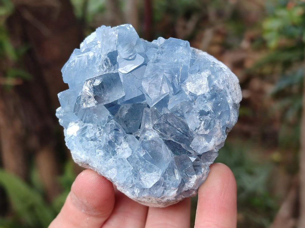 Natural Blue Celestite Specimens x 6 From Sakoany, Madagascar - Toprock Gemstones and Minerals 