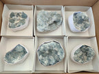 Natural Blue Celestite Specimens x 6 From Sakoany, Madagascar - Toprock Gemstones and Minerals 