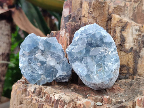 Natural Blue Celestite Specimens x 6 From Sakoany, Madagascar - Toprock Gemstones and Minerals 