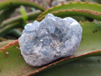Natural Blue Celestite Specimens x 6 From Sakoany, Madagascar - Toprock Gemstones and Minerals 