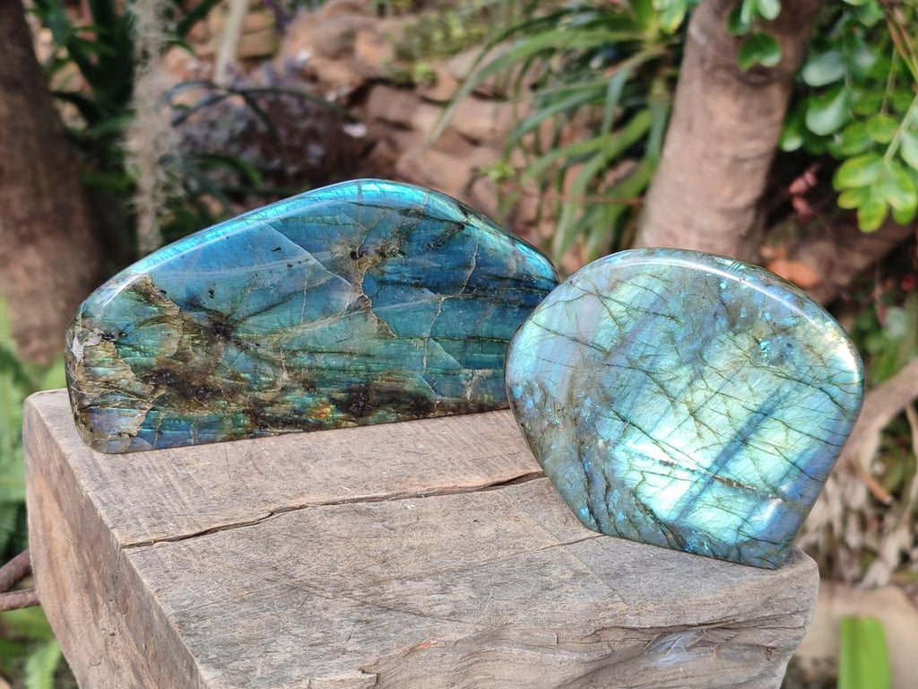 Polished Labradorite Standing Display Piece x 2 From Madagascar - Toprock Gemstones and Minerals 